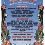 electric_picnic_2005