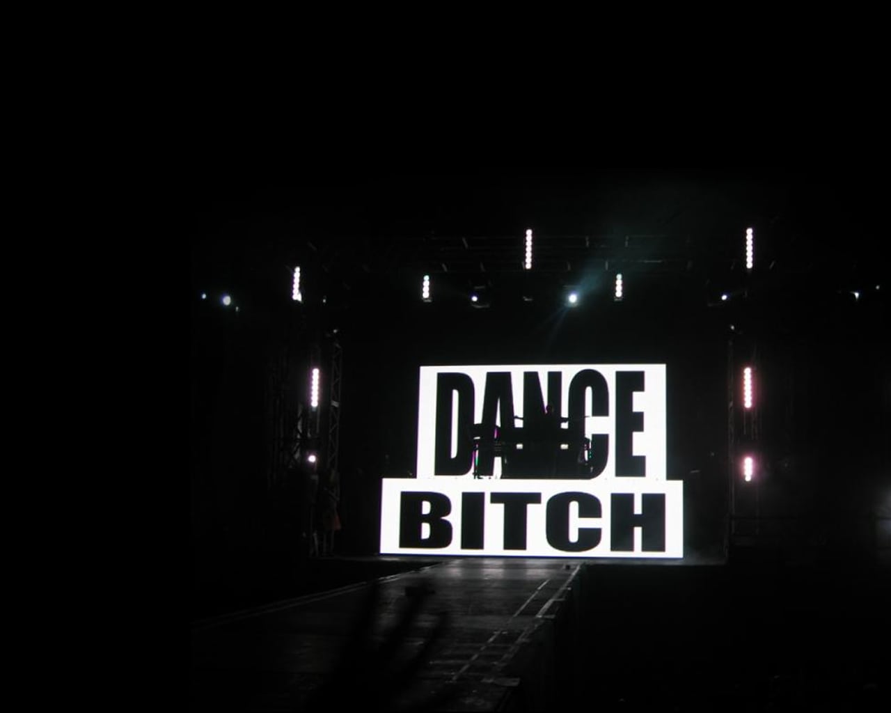 wall_dance_bitch